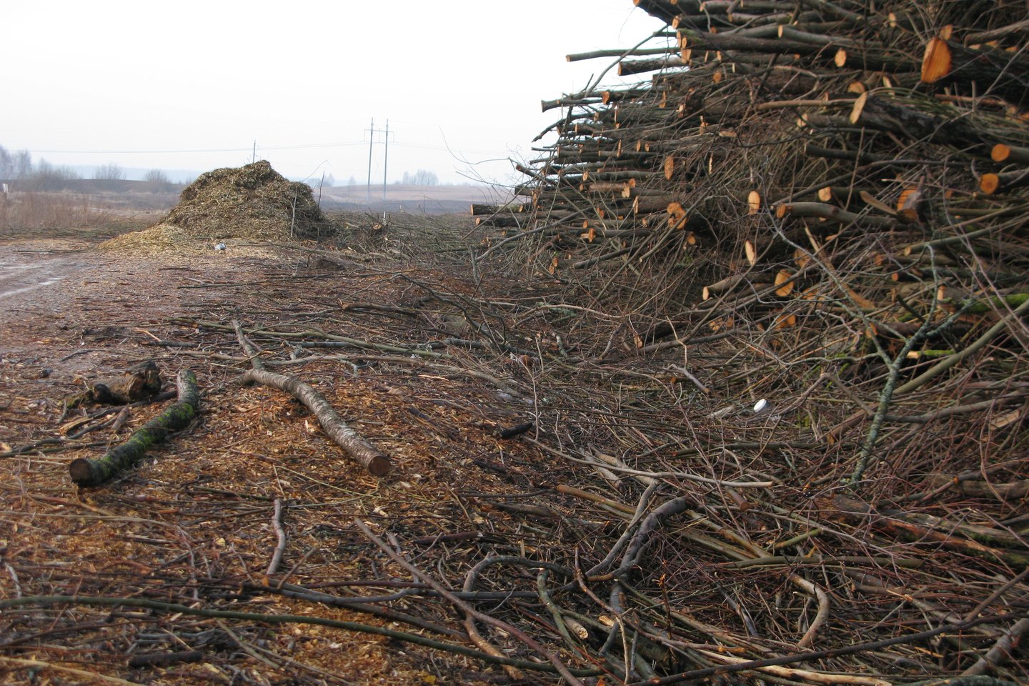 Biomasė dažniausiai ruošiama iš medynų tvarkymo liekanų ar melioracijos bei pakelės griovių.<br> A.Srėbalienės nuotr.