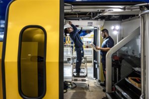 Dėl to net teko atšaukti keliones traukiniais: „Gyvenimas su barsukais yra tikras galvosūkis"