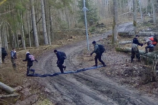 Čepkelių pelkėje pasieniečiai sulaikė pusšimtį migrantų, įkliuvo ir jų vedlys baltarusis