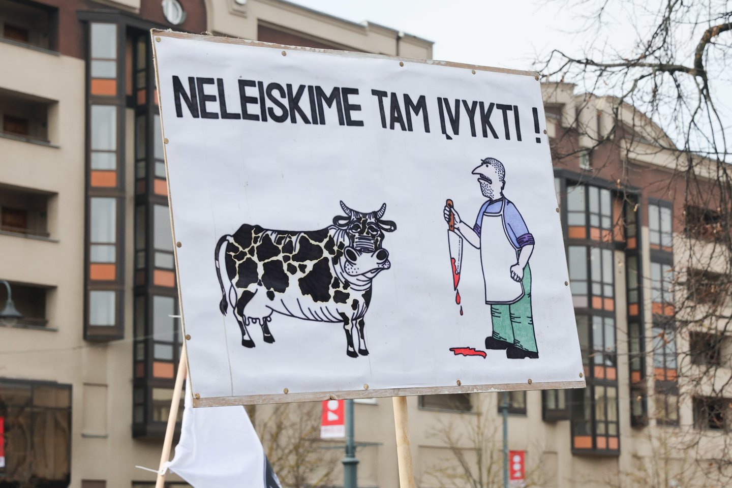 Vienas pagrindinių pieno ūkininkų reikalavimų – skirti 40 mln. eurų patirtiems nuostoliams kompensuoti.<br>  R.Danisevičiaus nuotr.
