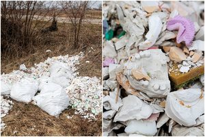 Ūkininką pašiurpino radinys netoli Marijampolės: išmesta visa krūva dantų protezų modelių 