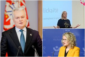 G. Nausėda apie A. Belickaitės paskyrimo į LGT aplinkybes: tai jau panašu į kažkokią sistemą