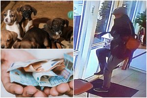 Panevėžyje veterinarai sučiupo beglobius gyvūnus nuskriaudusį vyrą: įtaria, kad taip pasielgė ne vieną kartą