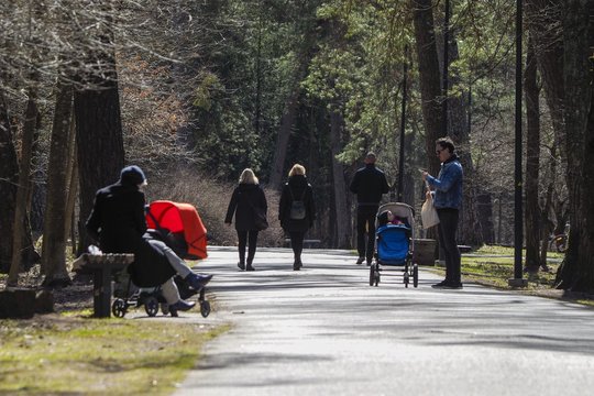 Artėjant savaitgaliui sinoptikai žymių orų permainų nenumato: lietų vis dažniau keis saulė