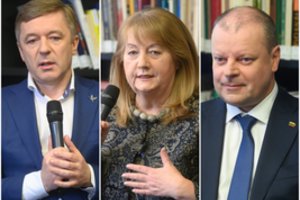 V. Blinkevičiūtės aktyvioje politikoje nebemato: kartosis S. Skvernelio ir R. Karbauskio metodas?