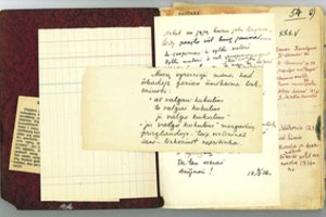 Tarp įdomiausių muziejaus eksponatų – linksmas Miko Petrausko pamokymas 