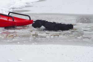 Utenos rajone ugniagesiai gelbėjo skęsti ėmusius: šunį ir jo šeimininką