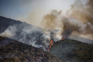Ispanijoje, netoli Valensijos, jau dvi paras nevaldomas siautėja ankstyvas miško gaisras