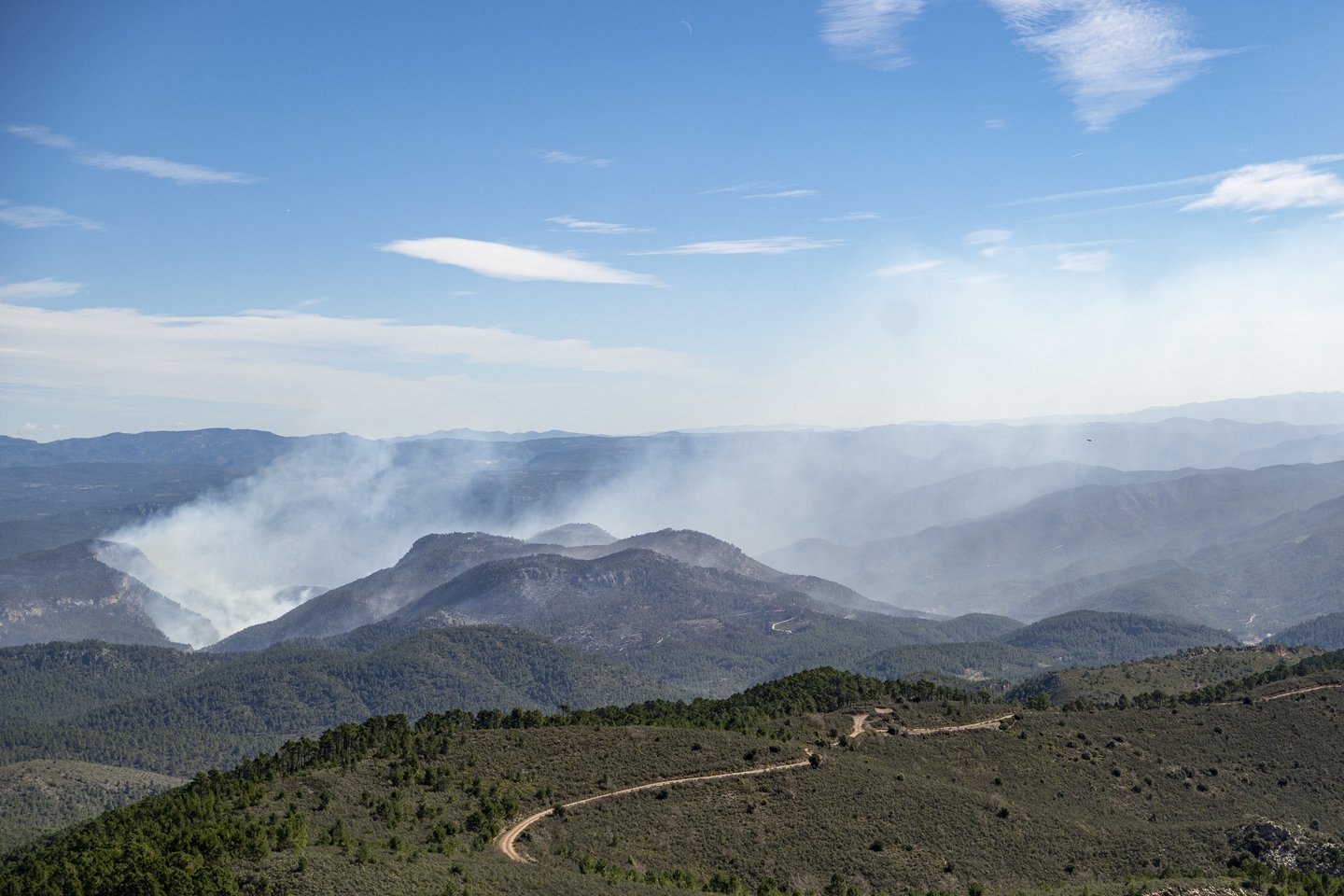 Miško gaisras Ispanijoje.<br> ZUMAPRESS.com/Scanpix nuotr.