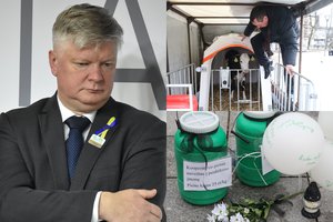 I. Šimonytė netenkintų reikalavimo K. Navickui atsistatydinti: jis tapo „atpirkimo karvute“