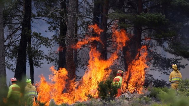 Užfiksavo, kaip atrodo miškas po gaisro Ispanijoje: sunaikinta apie 4 tūkst. hektarų ploto
