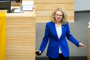 A. Armonaitė turi savų pasiūlymų, kaip keisti mokesčius: vienam kategoriškai nepritaria