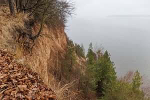 Gastilionių atodanga su pažintine trasa – norintiems pasimėgauti pušų aromatu ir paslaptinguoju Paežerojaus ežeru