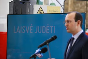 Vyriausybėje – nepajudinamas ministras? Dėl tvirto prieglobsčio Prezidentūroje už klaidas moka kiti