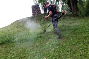 Kaimynai tuoj pjaus žolę: patarė, ką daryti jei pyktis nesinori, bet kantrybė išseks