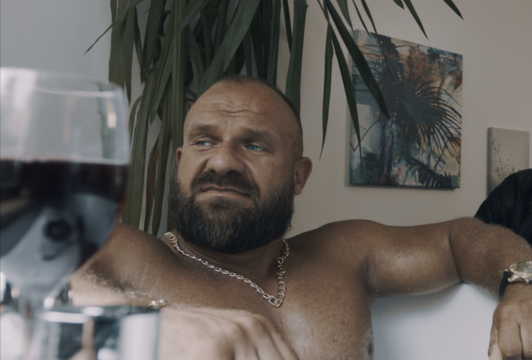  Ironvytas.