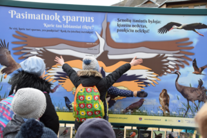 Kauno marių regioninio parko atstovas: kai kurie vaikai nėra buvę miške