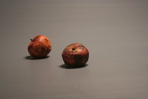 Prano Domšaičio galerijoje atidaromos dvi Alvydo Lukio fotografijų parodos