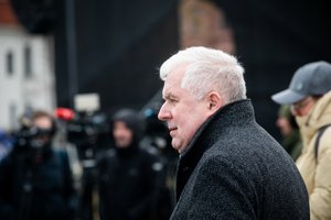 A. Anušauskas: parengtasis rezervas yra skirtas karo metu papildomoms funkcijoms atlikti