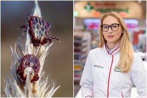 Įsisiurbė erkė? Stebėkite ar neatsirado šie simptomai