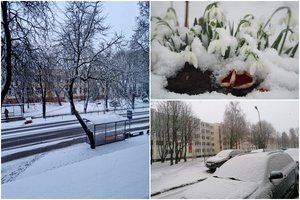 Į Lietuvą sugrįžusi žiema tiesiog pribloškia: žmonės ėmė dalintis, kaip atrodo kiemai, kai kur sniego – ir 7 cm