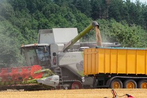 Dėl pigių ukrainietiškų grūdų importo pasiskundusi Lenkija sulauks 30 mln. eurų iš ES lėšų