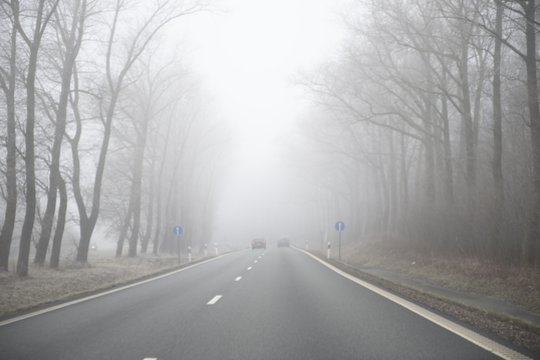 Kelininkai: šalyje kelių dangos daugiausiai šlapios, Tauragės rajone eismo sąlygas sunkina rūkas