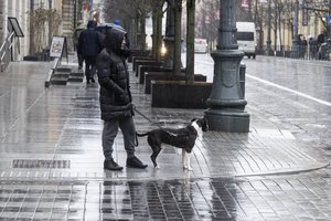 Klimatologas praneša, kokiais orais pasitiksime balandį: užsiminė ir apie tai, kas laukia per Velykas