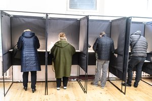 Apklausa: referendume dėl daugybinės pilietybės dalyvautų maždaug 56 proc. gyventojų