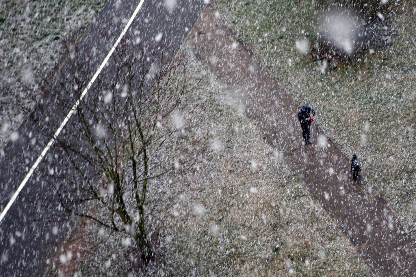 Į Lietuvą grįš žiema: temperatūra kris žemyn, snigs daugelyje rajonų.<br>M.Patašiaus nuotr.