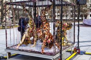 Vilniuje – „kruvinas“ pasirodymas: šokiruoja, kaip kankinamos vištos, kurių kiaušinius kasdien perkame