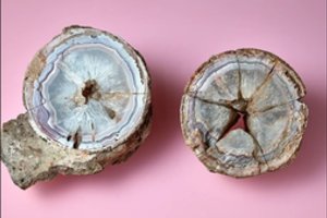 Beveik du šimtmečius muziejaus kolekcijoje išbuvęs agato mineralas slėpė netikėtą paslaptį