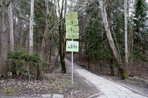 Tvarkys šabakštyną viename sostinės mikrorajonų: nori ne tik takų ir apšvietimo, bet ir pramogų