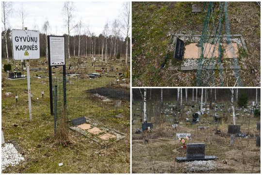 Chaosas gyvūnų kapinėse: liepė išsikasti augintinius žiemą, to nepadarius – paliko už tvoros