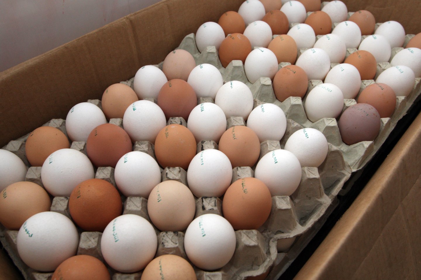 Kaip atskirti kokybiškus kiaušinius nuo prastų, žino ne visi.<br>R.Jurgaičio nuotr.