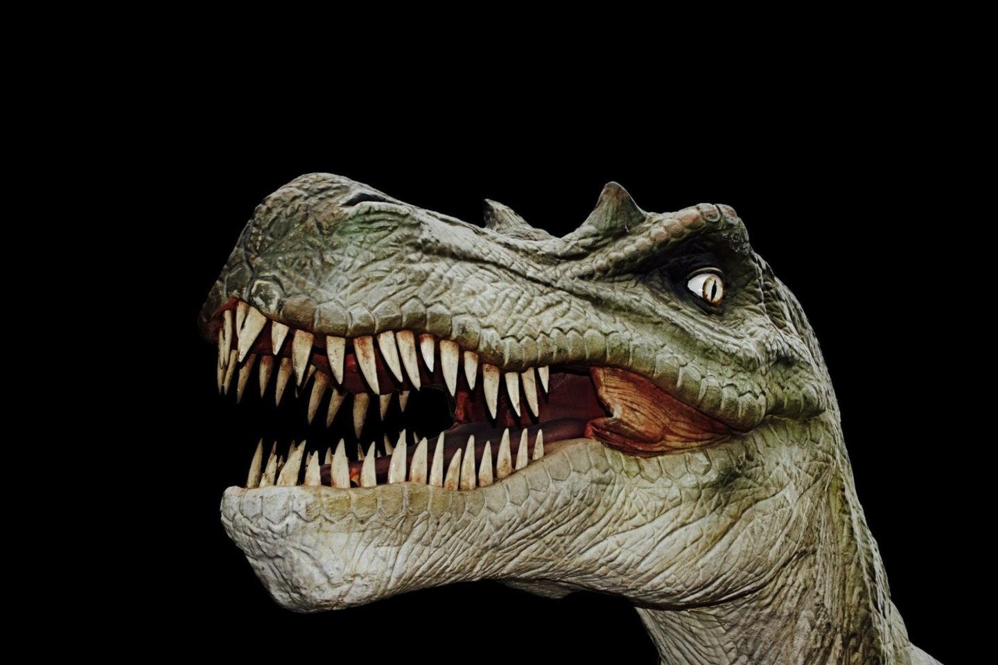 Dinozauras.<br> Pixabay nuotr.