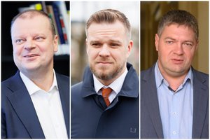 G. Nausėdos biografijos detalė sukėlė politikų šypsnį: sakė nepartinis, o stažas ilgesnis nei mūsų