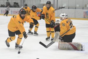 Po poilsio dienos – Lietuvos moterų rinktinės laukia rungtynės su Bulgarija