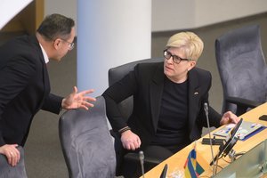 Seimas priėmė rezoliuciją dėl NATO viršūnių susitikimo: ragina Ukrainą oficialiai pakviesti prisijungti prie Aljanso šalių