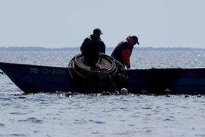 Nuo šiol žvejams mėgėjams Kuršių mariose ir Baltijos jūroje visus metus draudžiama žvejoti ungurius
