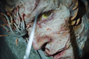 Pildosi garsaus siaubo serialo scenarijus: žmogus pirmąkart nuo augalo užsikrėtė pavojinga grybeline liga