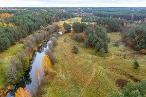 Gautas laiškas įvarė baimės – įtaria, kad miškų savininkams taip „plauna smegenis“