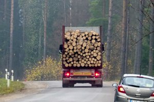 „Siena“: už mokesčių mokėtojų pinigus galėjo būti nupirkta sankcionuotos medienos