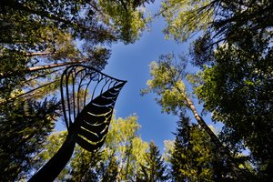 Europos parkas lankytojų laukia ir per šventes – pasidžiaugti gamta, atsigauti dvasia, pasisemti įkvėpimo