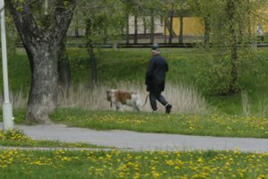Ši liga gali baigtis net mirtimi: apie pavojų žino, bet tiki – nieko blogo nenutiks