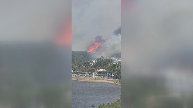 Pietų Korėją siaubia vėjo nešamas miško gaisras: sunaikinta apie 100 namų