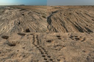 Paslaptingi simboliai dykumoje glumina mokslininkus