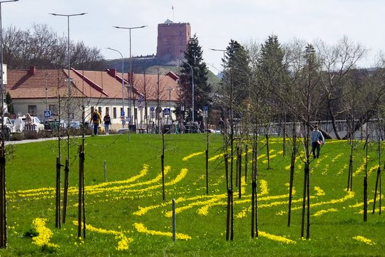 Pavasaris Vilniuje. <br>V.Ščiavinsko nuotr. 