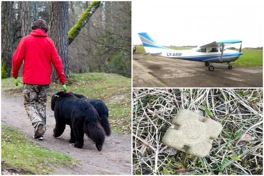 Perspėja radus neliesti, o pastebėjus – pranešti: bus išmėtyta pusė milijono jaukų su vakcina