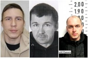 Per parą dingo keturi kaliniai – trys iš Pravieniškių ir vienas iš Alytaus